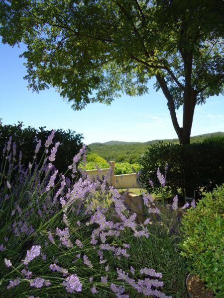 Chambres D'Hotes "Maison Pons" Proche Uzes - Pont Du Gard Pougnadoresse 外观 照片